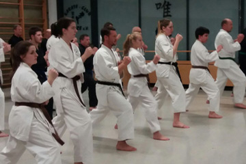 Goju-Ryu-Karate-Do